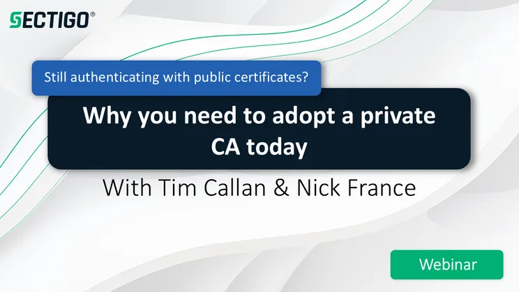 Authenticating public certs private CA